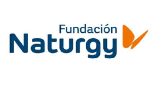 Naturgy